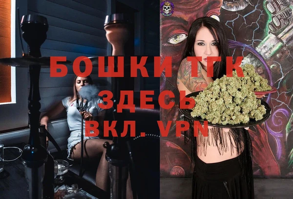СК Аркадак