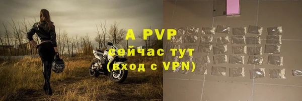 СК Аркадак