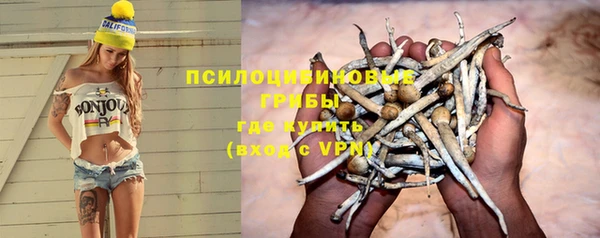 экстази Арсеньев